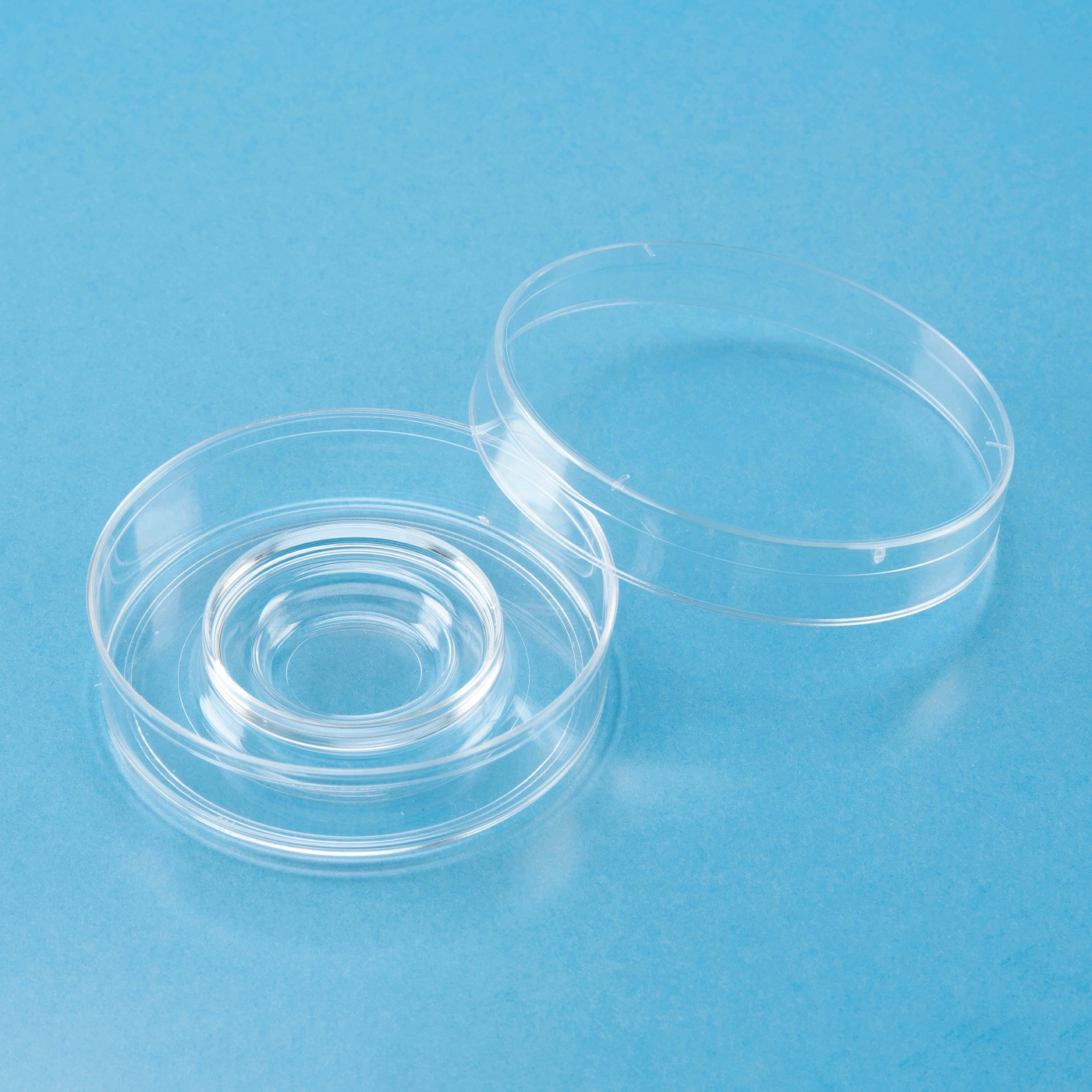 Dish/Plate Center Well Dish