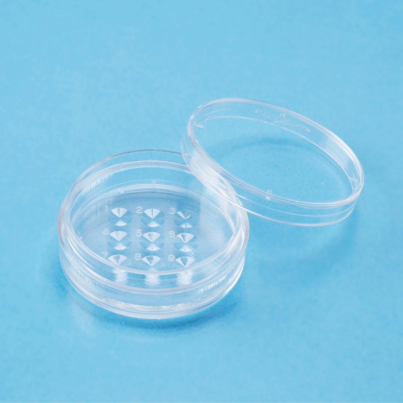 ディッシュ・プレート 35mm 9 Dimple Dish