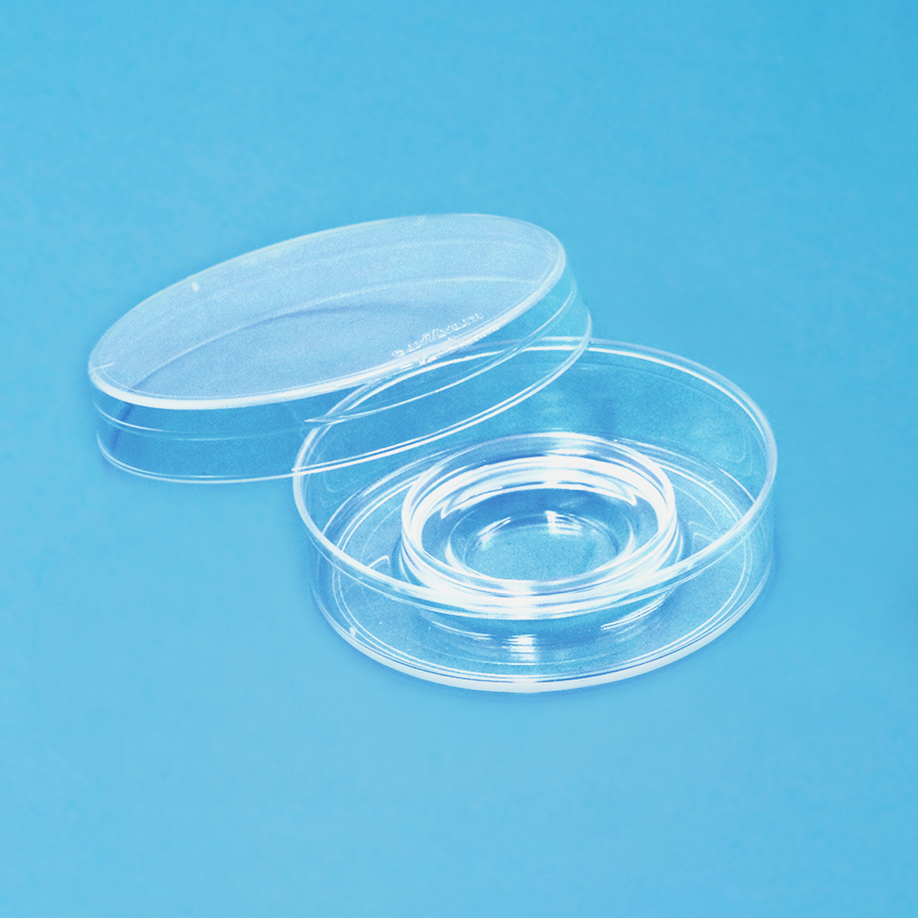 ディッシュ・プレート Center Well Dish