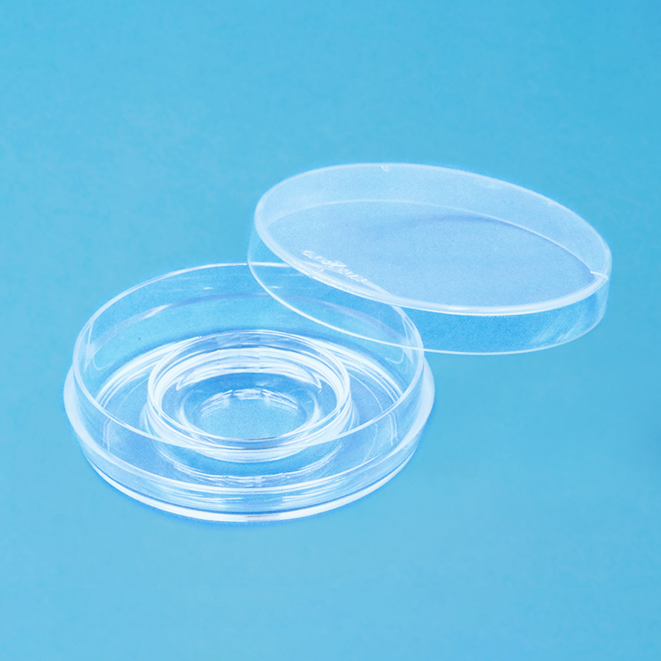 ディッシュ・プレート Center Well Dish EZ