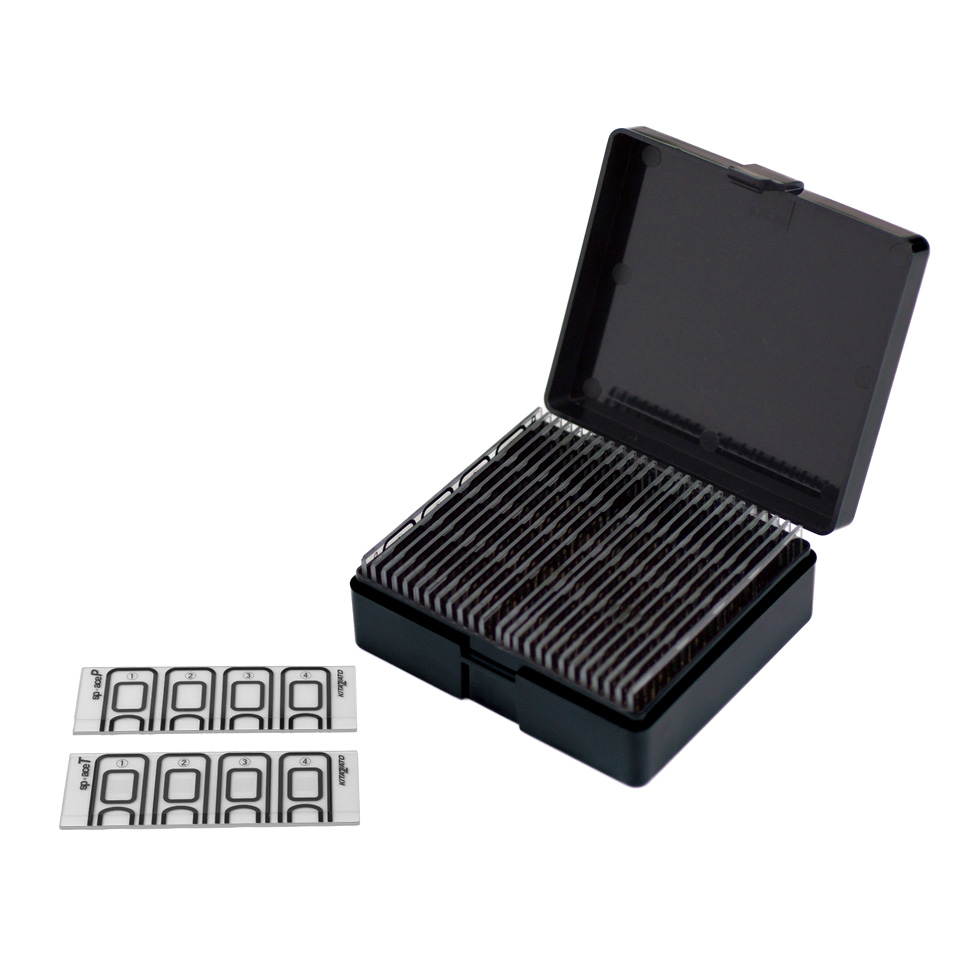 Sperm Counting Chamber